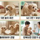 플레이 바우 이미지