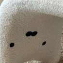네일푸르미르 이미지