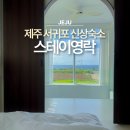 빌라 스테이 사계 | 제주도 서귀포 신상숙소 스테이영락 독채 풀빌라 오션뷰 펜션 가볼만한곳