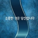 소중한 것은 당신입니다 / 팔레놉시스(호접란) 이미지