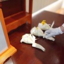 누가병원장례식장 이미지