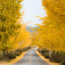 공주교도소부속의원 이미지