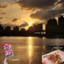 區 양묘장 맞은편-가운데 | 디화스트릿 데이트코스 인생네컷 하해성황묘 다다오청 오징어