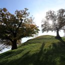 봉황대고분 이미지