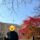 남산하누리협동조합 | 충무로 데이트｜남산둘레길 올라갔다가 회현역 계단집에서 힐링한 하루