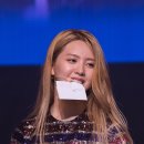 굿데이(Good Day) 티스토리