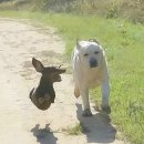 9월 넷째주 체크인
