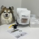 어뇽어뇽 이미지