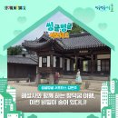 청덕차유리 | [서초구] 해설사와 함께 하는 창덕궁 여행, 이런 비밀이 숨어 있다니!