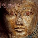파라오 - 평택시 안정로29번길 31 | 파라오