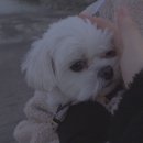 솔모루펜션 - 34946 | 솔모루펜션