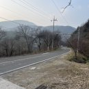 별산펜션 | [광주 근교/화순 숙소] 별산펜션_화순 애견동반 펜션 후기🐶