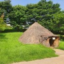 둔산 선사유적지 이미지