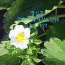 쌍림농약 네이버블로그