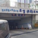 버드소리