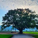 야로경로당 이미지