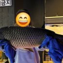 놀이터실내낚시터 이미지