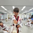 선일태권도장 이미지