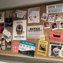 펫츠월드 이미지