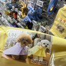 롯데마트 이천점 이미지