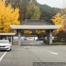 코모도펜션민박 | 경주보문단지호텔 코모도호텔 슈페리얼 트리플룸 솔직후기 경주 가성비 호캉스