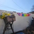 글벗초등학교건너편(금강쪽) | 대전촌캉소4.5.6인 가성비 숙소 [금산스테이소망별채]에 꽃놀이용 의상 한복.옛날교복.개화기의상 모두...