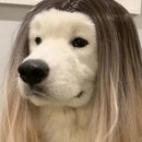 뭉치 이미지