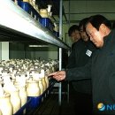 영농조합법인그린농산 이미지