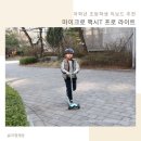 아시안PC | 저학년 초등학생 킥보드 타기 쉬운 마이크로 맥시T 프로 라이트 후기