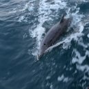 바다세탁소 이미지