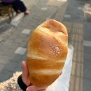 관양초등학교 | 끊임없이 소금빵이 나오는 안양 토끼네빵 후기