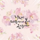 차민 이미지