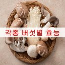 버섯별 효능... 이미지