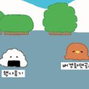 보름달곰
