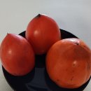 감은골 농장 이미지