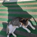 유동낚시터 이미지