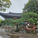 단호사 - 383 | 충주 가볼만한곳, 충주 단호사,충주단호사 삼층석탑,단호사 소나무,충주 게으른악어 카페