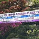 코지맨션 이미지