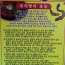 황씨네대가추어탕 이미지