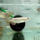 금용농장 이미지