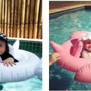 플라밍고 이미지