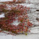 종로한사랑약국 이미지