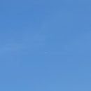 해금농장 이미지