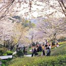 홍제매점 이미지