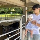 아기랑 1박2일 구례, 하동여행 1일차 (지리산치즈랜드, 화개장터, 더로드101, 정금다원, 켄싱턴리조트)