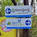 원주굽이길 14코스 용소막성당길 이미지