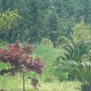 하늘 그리고 바다 민박 이미지