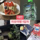 [대만] 자유여행 2박 3일 일정 : 보보상점, 동파육 덮밥, 삼미식당,101타워 후기