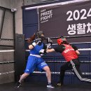 팀베어스복싱짐 네이버블로그