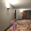 [4살7살 아이들과 호주여행 Day.5] 당일예약 가능한 무비월드 티켓구매 ,브리즈번 시청 크리스마스 조명쇼